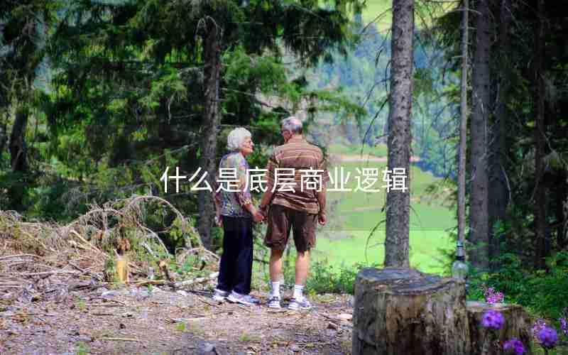 什么是底层商业逻辑