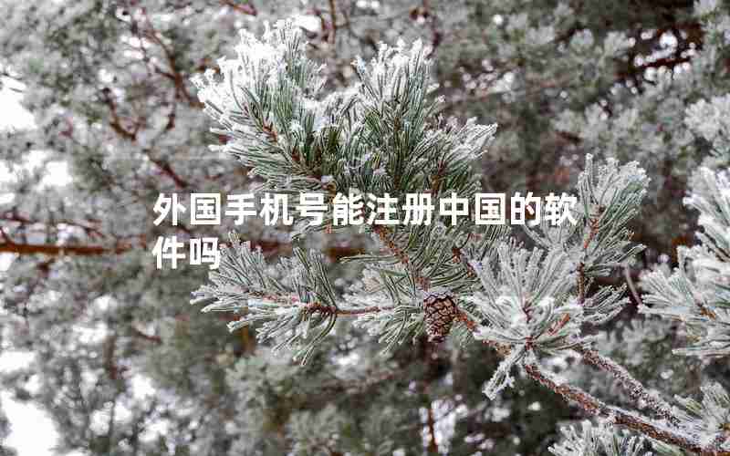 外国手机号能注册中国的软件吗 外国手机号能注册中国的软件吗
