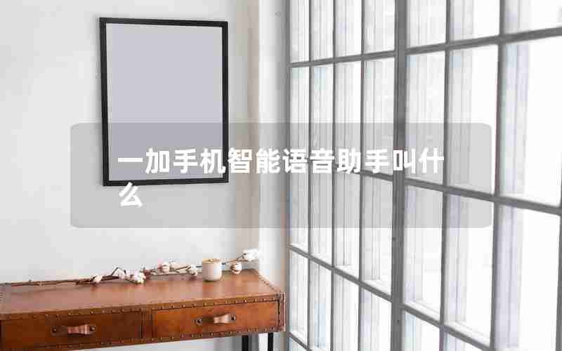 一加手机智能语音助手叫什么
