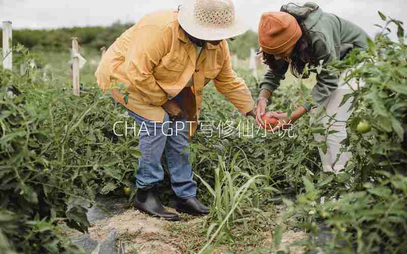CHATGPT写修仙小说