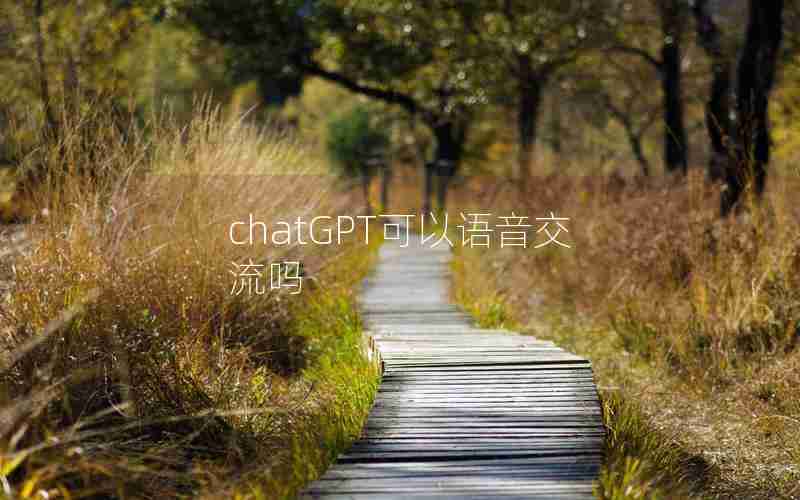 chatGPT可以语音交流吗 chatGPT可以语音交流吗
