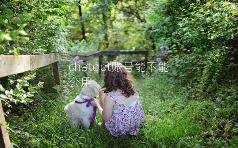 chatgpt账号能不能公用