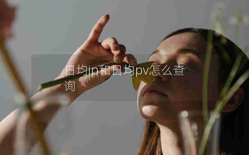 日均ip和日均pv怎么查询