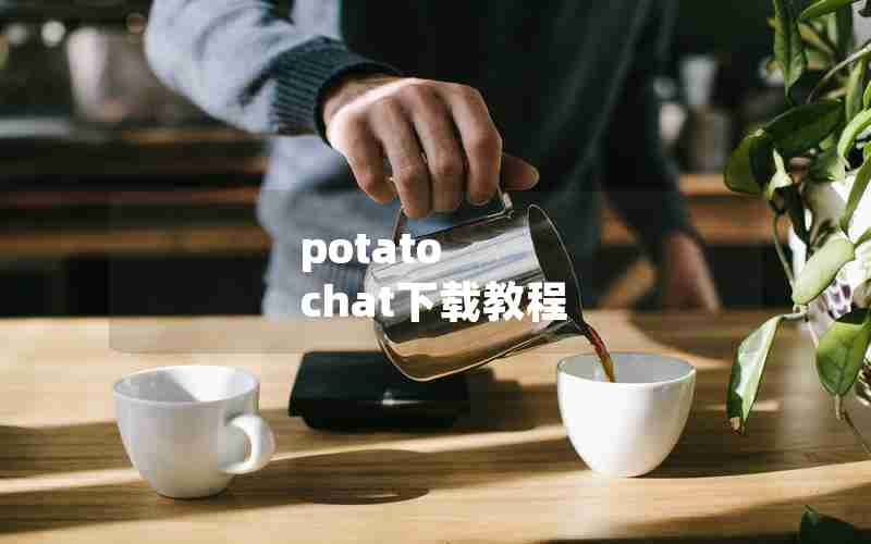 potato chat下载教程