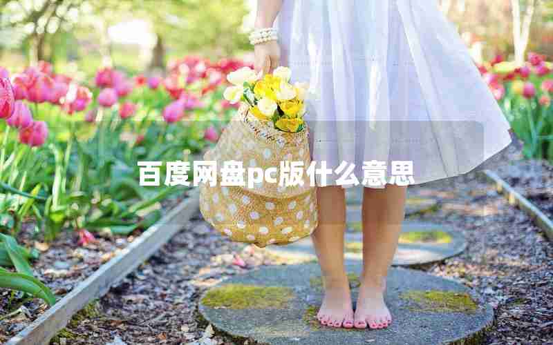 百度网盘pc版什么意思
