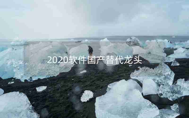 2020软件国产替代龙头 2020软件国产替代龙头