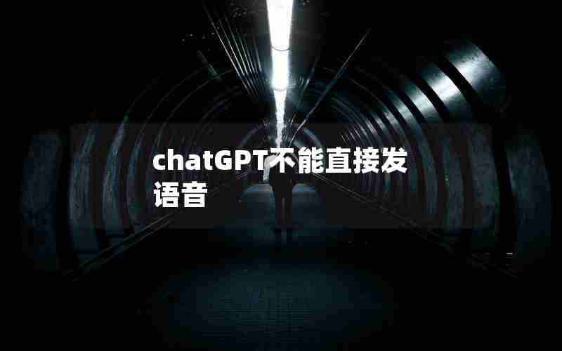 chatGPT不能直接发语音 chatGPT不能直接发语音