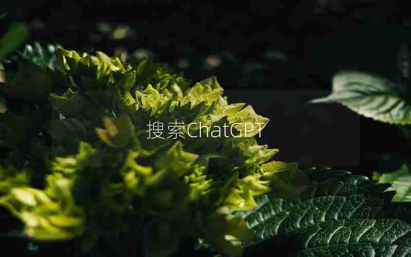搜索ChatGPT 搜索ChatGPT