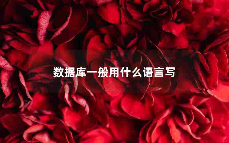 数据库一般用什么语言写 数据库一般用什么语言写