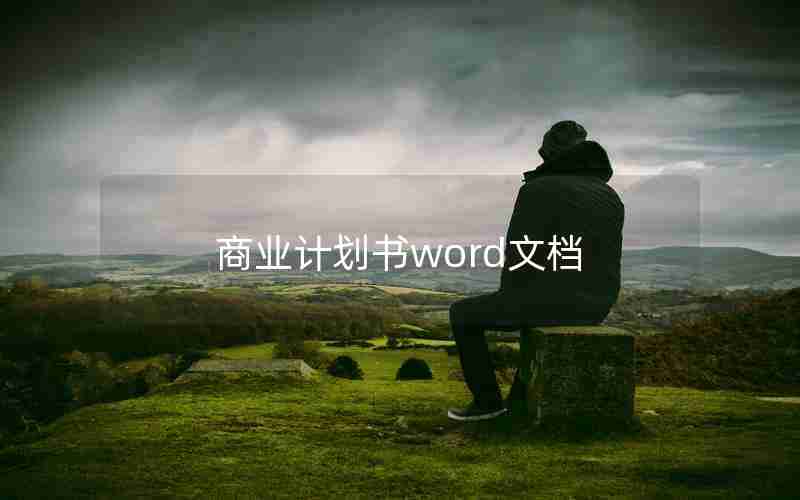商业计划书word文档 商业计划书word文档