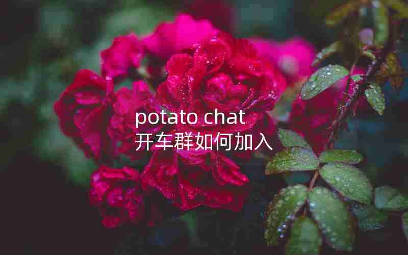 potato chat 开车群如何加入 potato chat 开车群如何加入