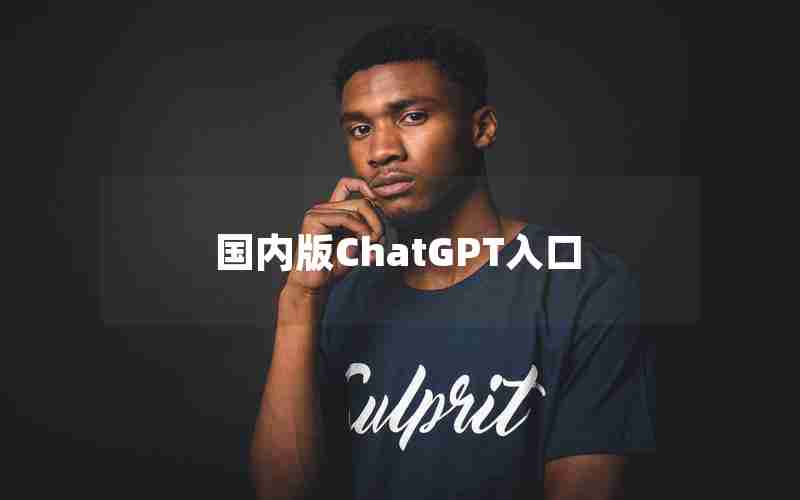 国内版ChatGPT入口