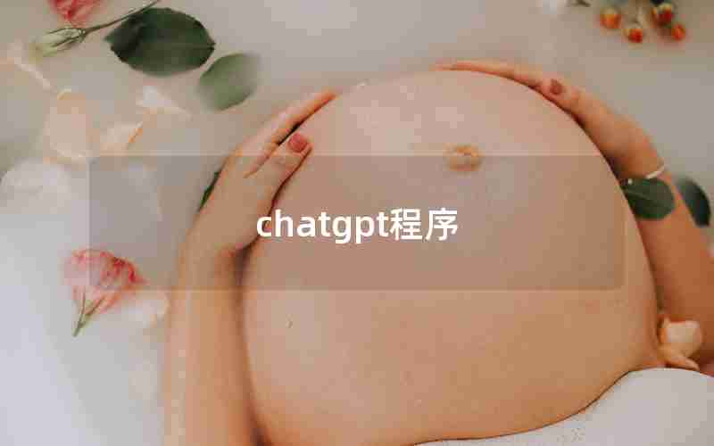 chatgpt程序