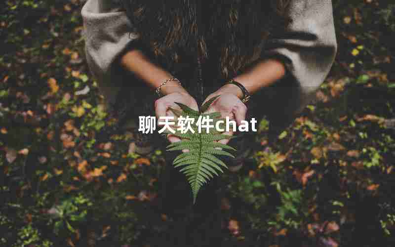 聊天软件chat