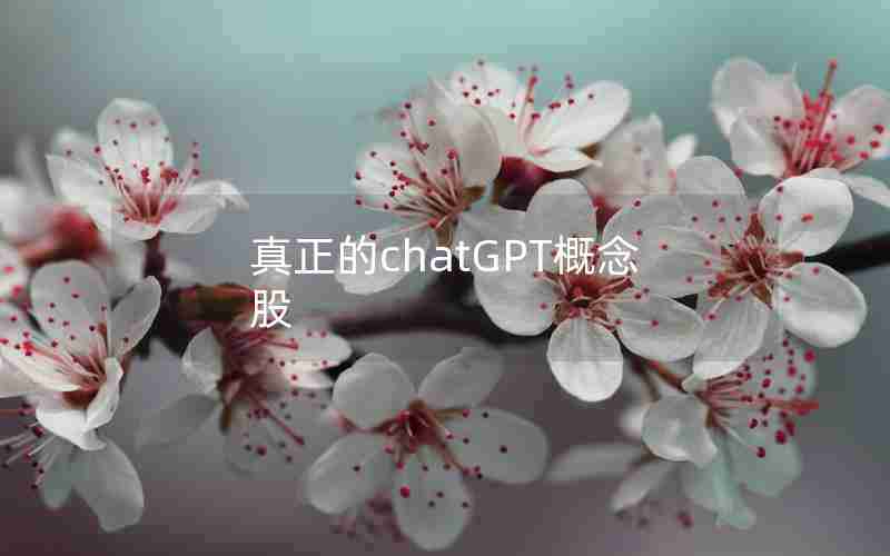 真正的chatGPT概念股 真正的chatGPT概念股