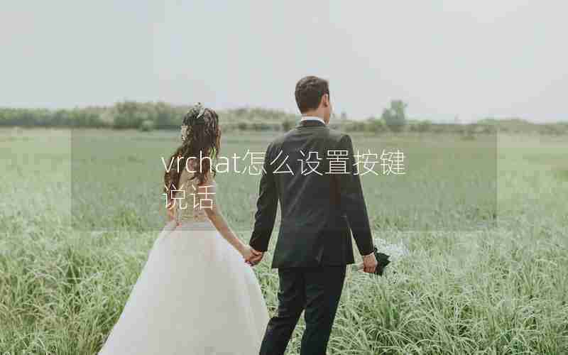 vrchat怎么设置按键说话 vrchat怎么设置按键说话