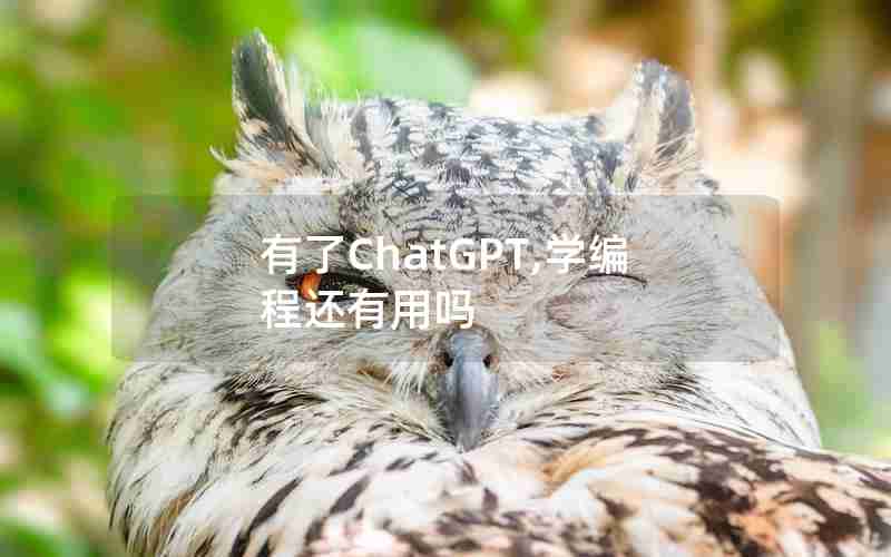 有了ChatGPT,学编程还有用吗 有了ChatGPT,学编程还有用吗