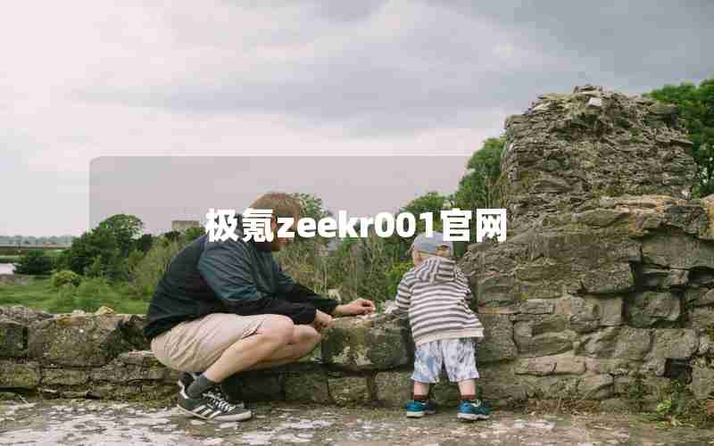 极氪zeekr001官网