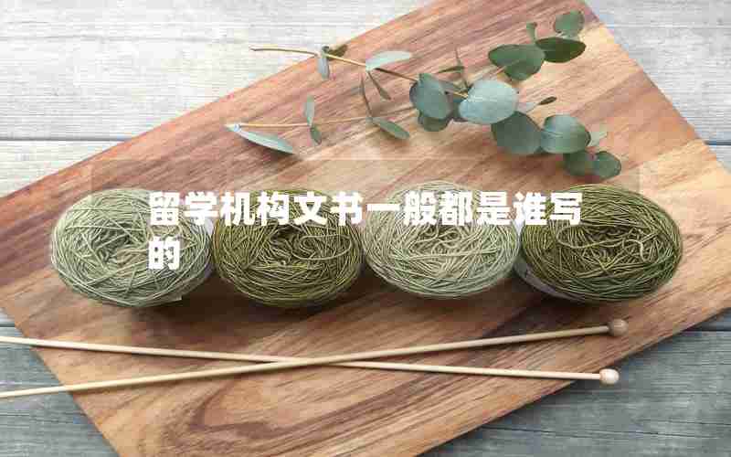 留学机构文书一般都是谁写的 留学机构文书一般都是谁写的