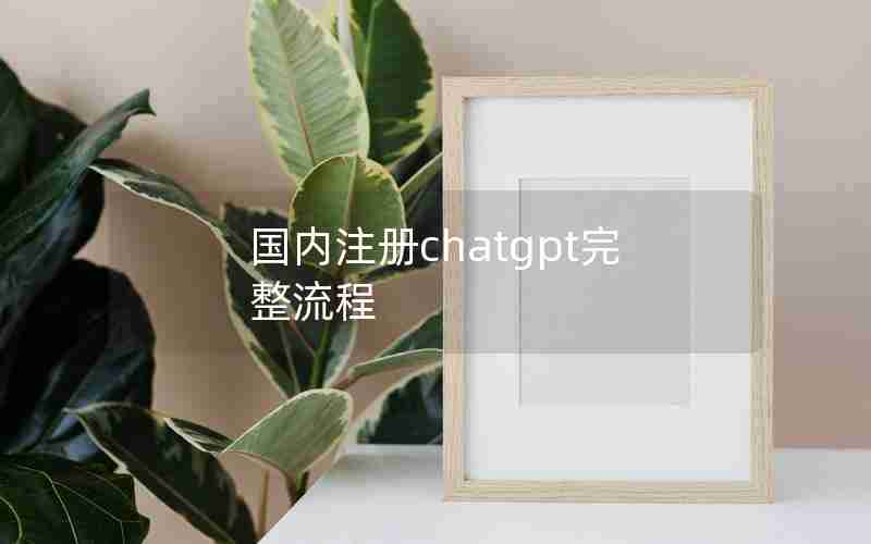 国内注册chatgpt完整流程