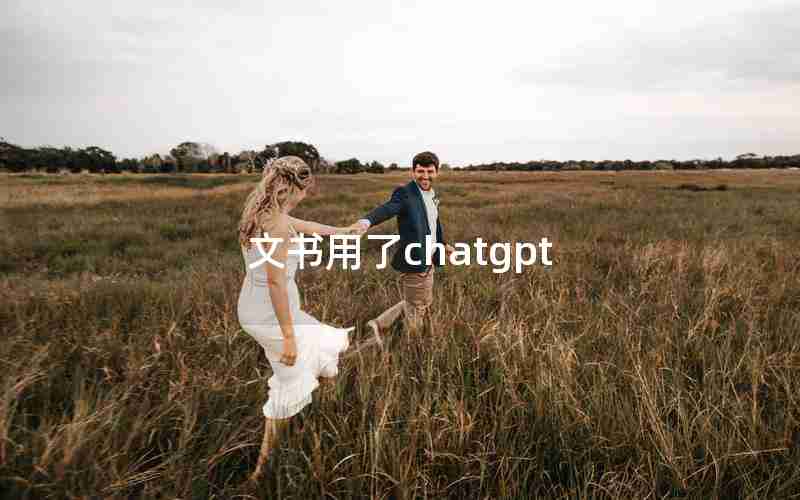 文书用了chatgpt 文书用了chatgpt
