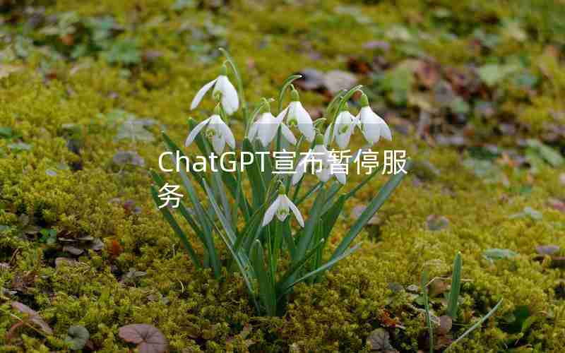 ChatGPT宣布暂停服务 ChatGPT宣布暂停服务