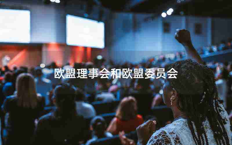 欧盟理事会和欧盟委员会 欧盟理事会和欧盟委员会