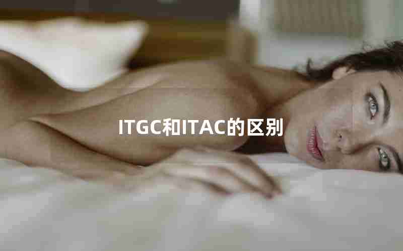 ITGC和ITAC的区别