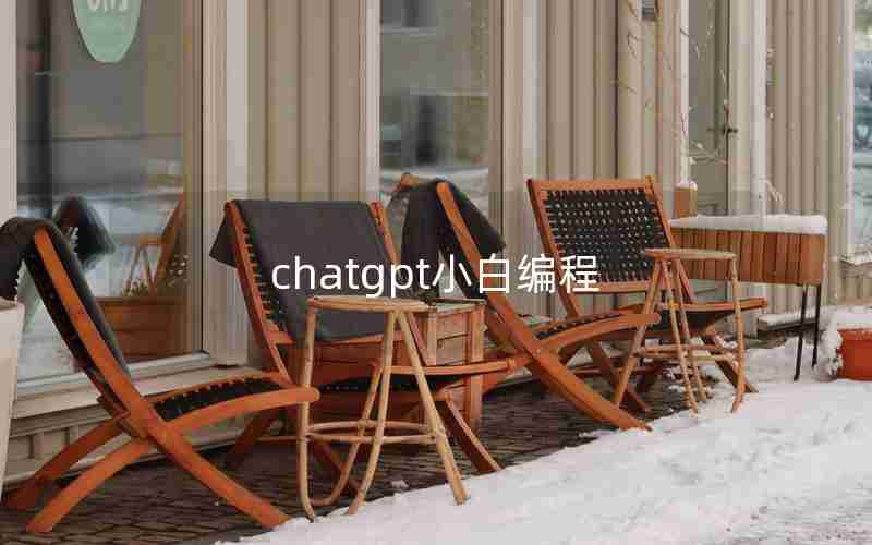 chatgpt小白编程 chatgpt小白编程