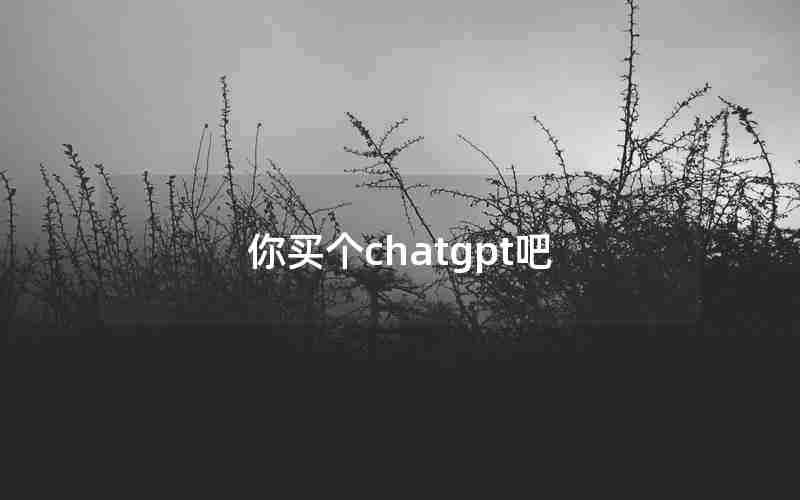 你买个chatgpt吧 你买个chatgpt吧