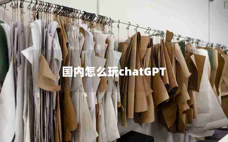 国内怎么玩chatGPT