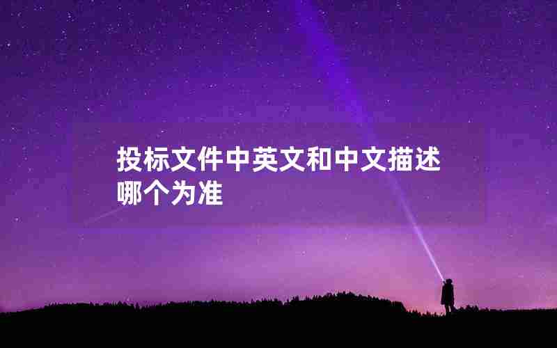 投标文件中英文和中文描述哪个为准 投标文件中英文和中文描述哪个为准