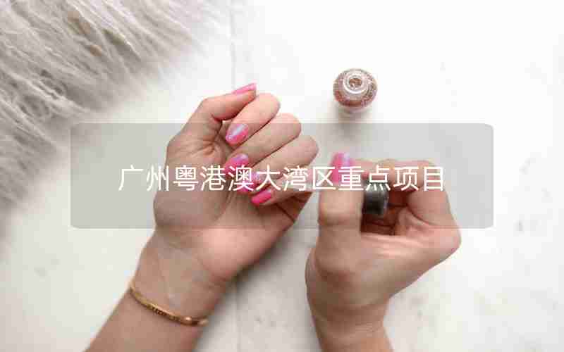 广州粤港澳大湾区重点项目