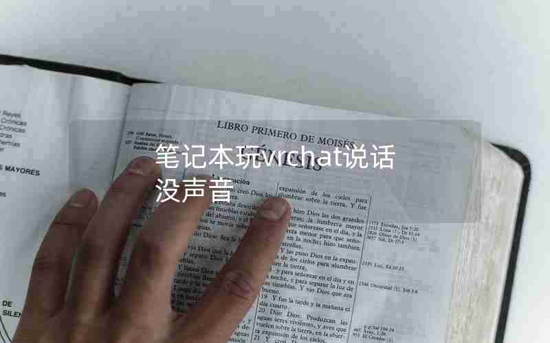 笔记本玩vrchat说话没声音 笔记本玩vrchat说话没声音