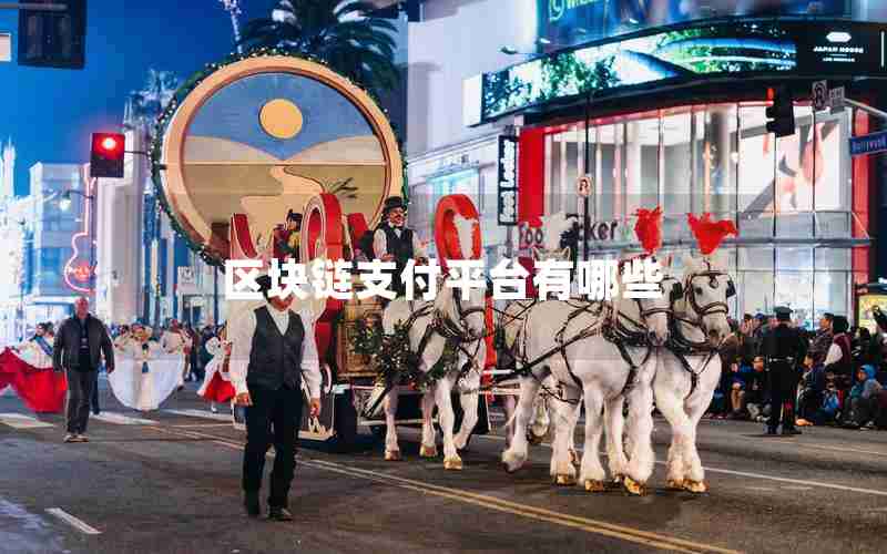 区块链支付平台有哪些 区块链支付平台有哪些