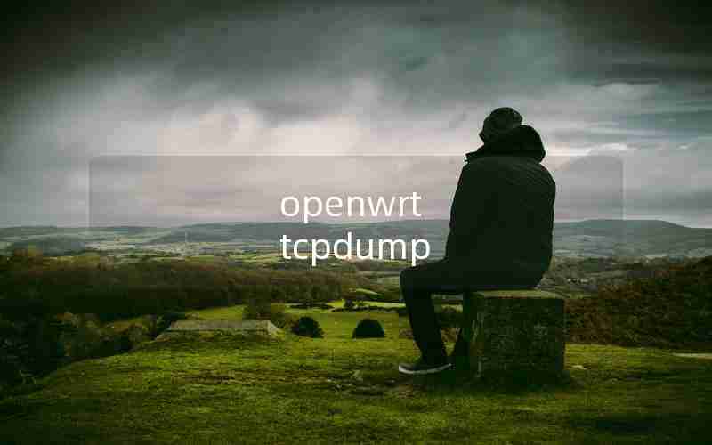 openwrt tcpdump openwrt tcpdump