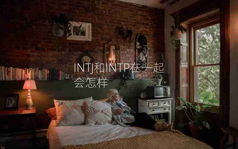 INTJ和INTP在一起会怎样 INTJ和INTP在一起会怎样