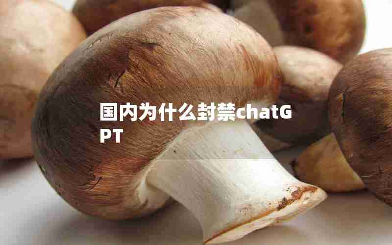 国内为什么封禁chatGPT