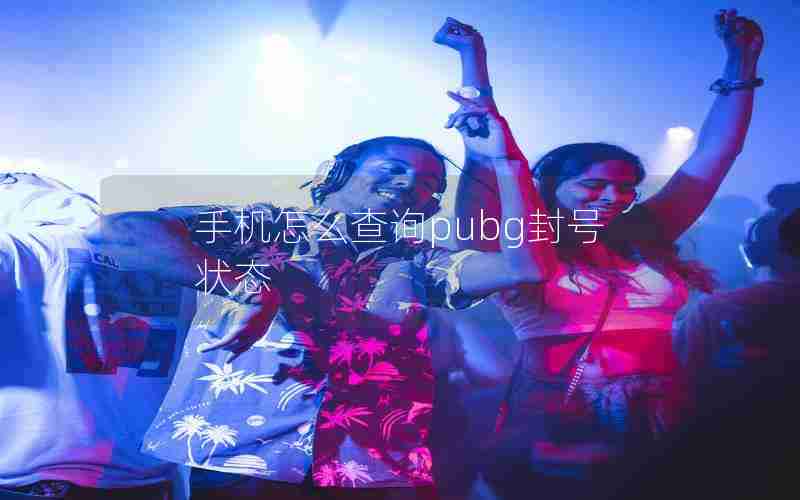 手机怎么查询pubg封号状态