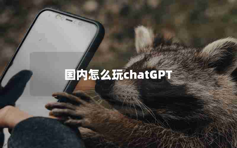 国内怎么玩chatGPT 国内怎么玩chatGPT