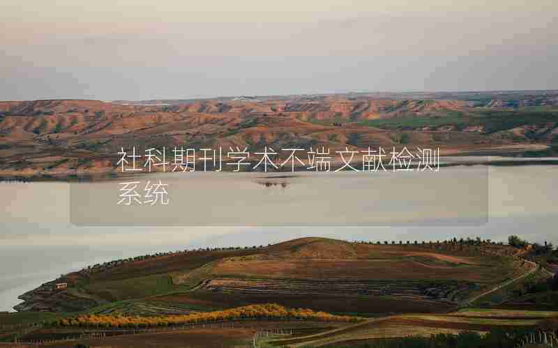 社科期刊学术不端文献检测系统