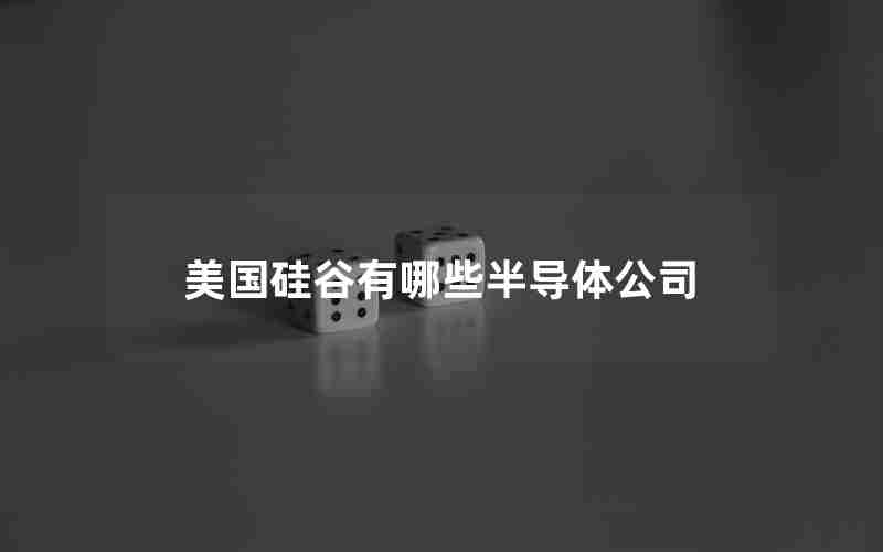 美国硅谷有哪些半导体公司 美国硅谷有哪些半导体公司