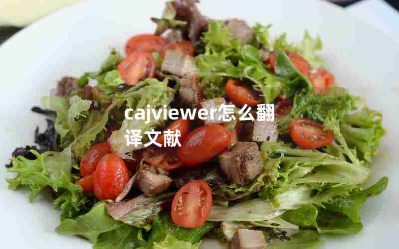 cajviewer怎么翻译文献 cajviewer怎么翻译文献