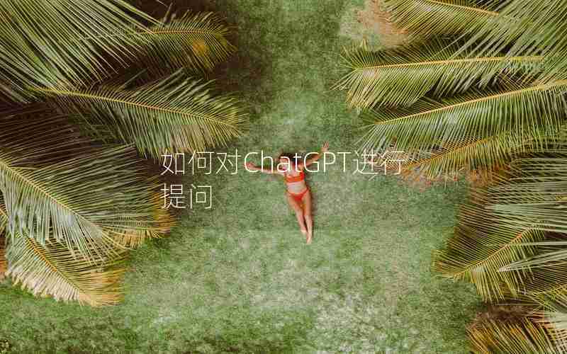 如何对ChatGPT进行提问 如何对ChatGPT进行提问