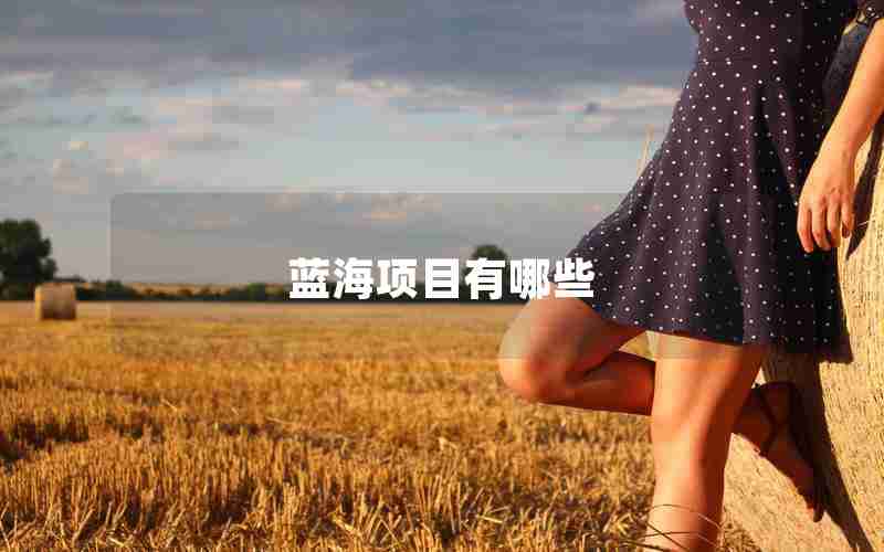 蓝海项目有哪些 蓝海项目有哪些