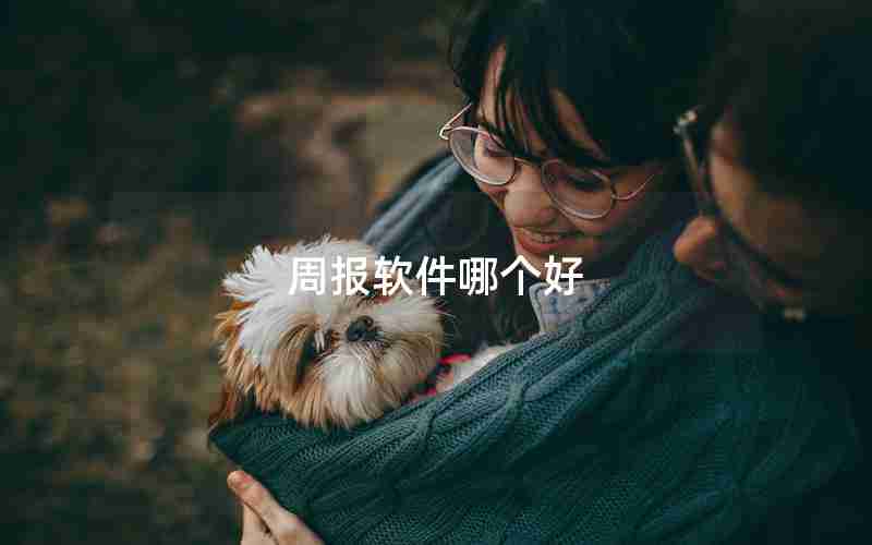 周报软件哪个好 周报软件哪个好