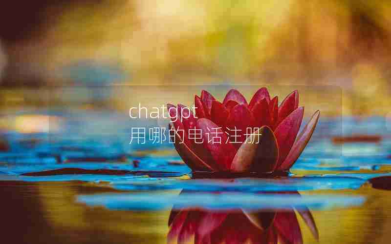 chatgpt 用哪的电话注册