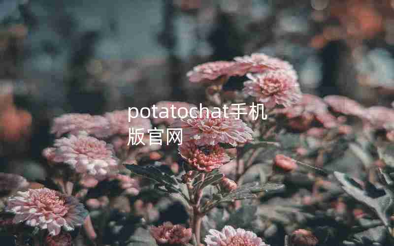 potatochat手机版官网