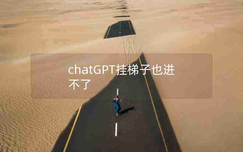 chatGPT挂梯子也进不了