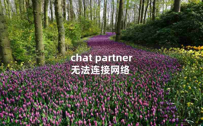 chat partner无法连接网络